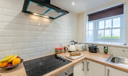 1 Bed in Stainsacre 5