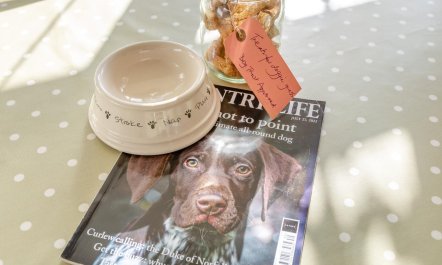 2 Bed in East Anstey 7