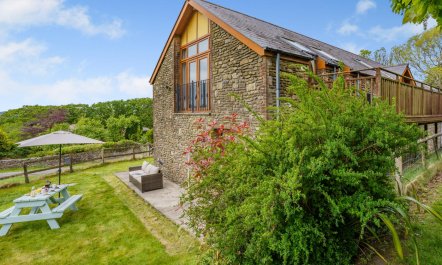 3 Bed in Pontardawe 1