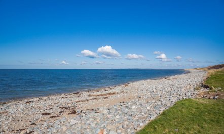 3 Bed in Aberdesach 3