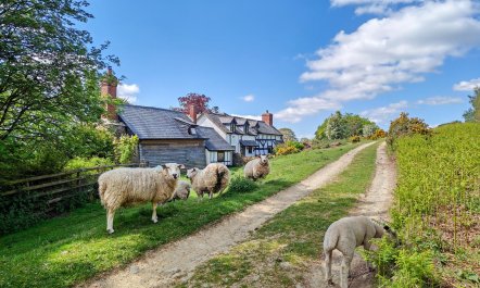 3 Bed in Leominster 1