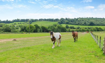 1 Bed in Huish Champflower 2