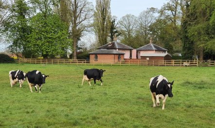 1 Bed in Wymondham 8