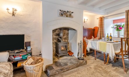 2 Bed in Llanuwchllyn 8