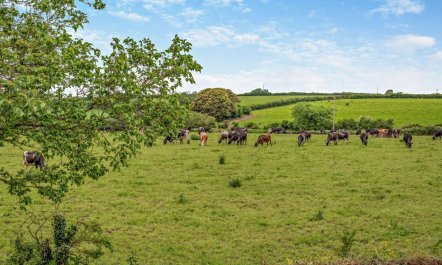 2 Bed in St. Minver 8