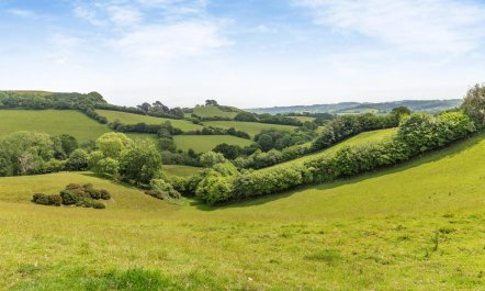 2 Bed in Stoke Abbott 1