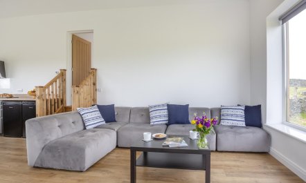3 Bed in Penrhos Feilw 9