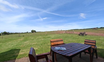4 Bed in Malborough 7