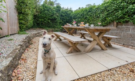 3 Bed in West Down 8