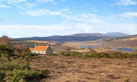 2 Bed in Ardgay 2