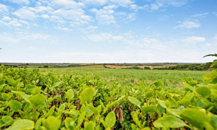 2 Bed in St. Merryn 5