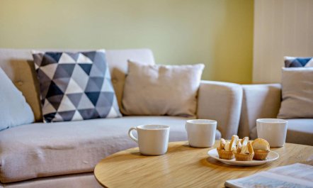 2 Bed in Blashford 4