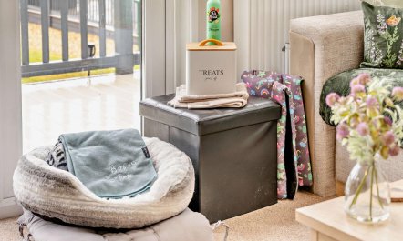 2 Bed in Gilfachrheda 7