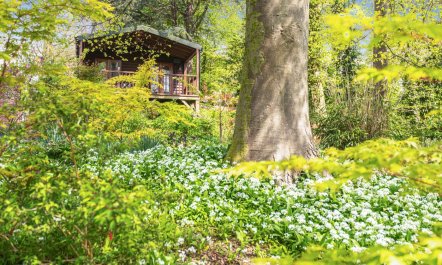 1 Bed in Milton Abbas