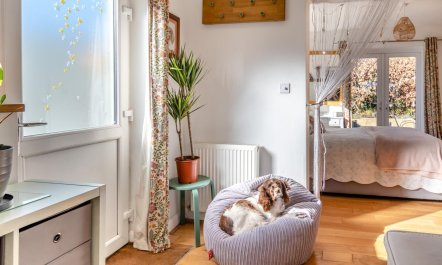 1 Bed in Saundersfoot 9