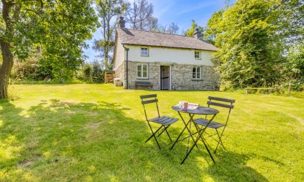 4 Bed in Llwynygroes