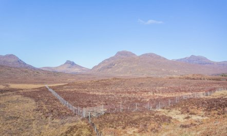 3 Bed in Strathkanaird 2