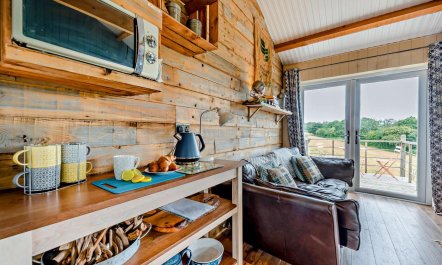 1 Bed in Dre-Fach Felindre 4