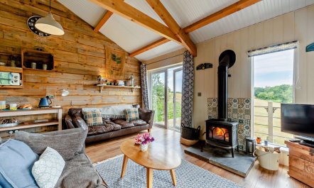 1 Bed in Dre-Fach Felindre 3