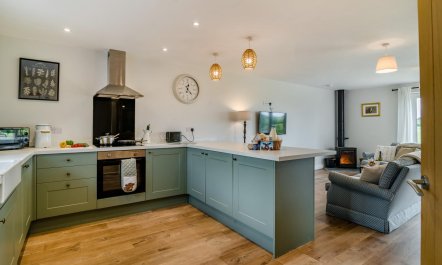 2 Bed in Nomansland 2