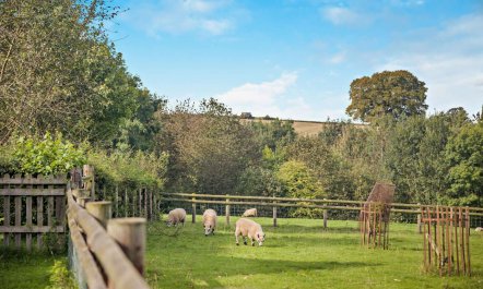 2 Bed in Hanley William 3