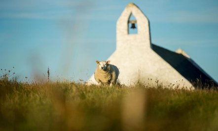 4 Bed in Talgarreg 8