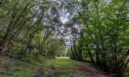 1 Bed in Ellastone 9