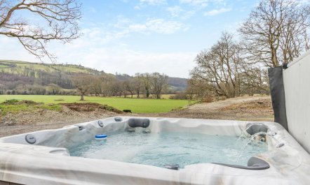 4 Bed in Capel Bangor 2