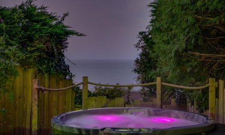 4 Bed in Carbis Bay 3