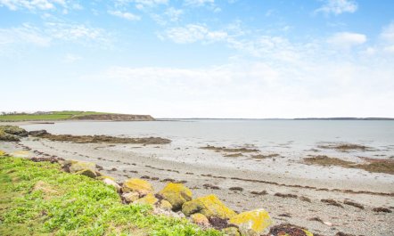 3 Bed in Llanfwrog 5