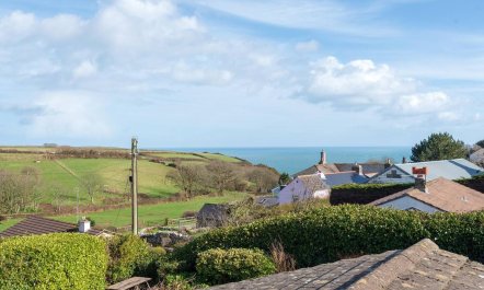 3 Bed in East Prawle 4