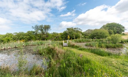 1 Bed in Glan Conwy 2