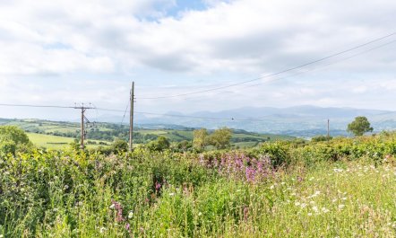 1 Bed in Glan Conwy 3