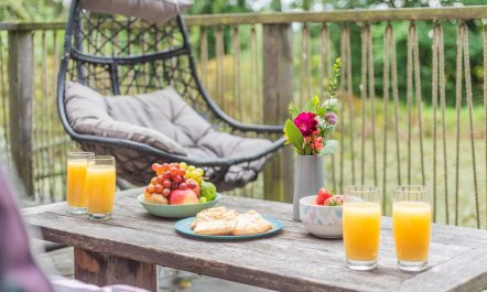 2 Bed in Roborough 5