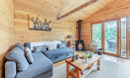 2 Bed in Roborough 8