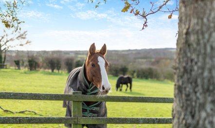 2 Bed in Stainsacre 3