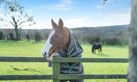 2 Bed in Stainsacre 2