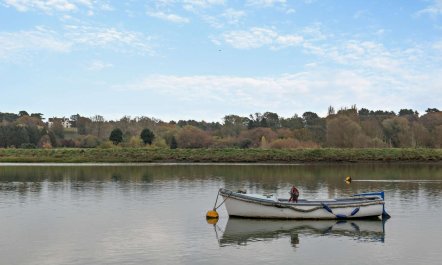 1 Bed in Woodbridge 8