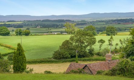 4 Bed in Nether Stowey 1
