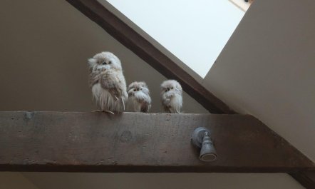 1 Bed in Broughton 2