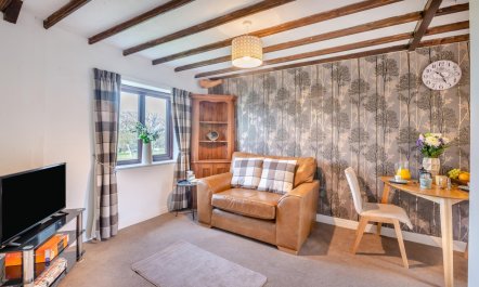 1 Bed in Stainsacre 1