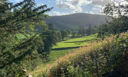 2 Bed in Rogerscale 8