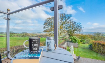 3 Bed in Llanddarog 5