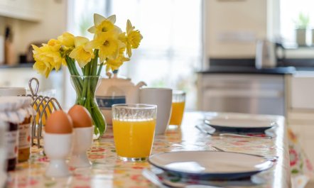 3 Bed in Appledore 1