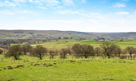 2 Bed in Eggleston 5