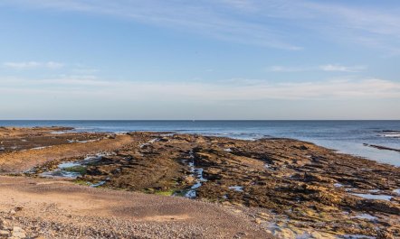 2 Bed in Beadnell 5