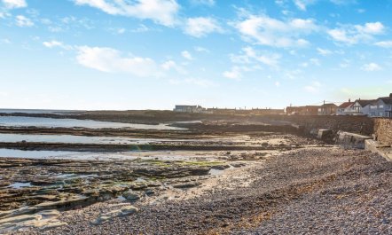 2 Bed in Beadnell 3