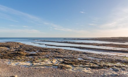 2 Bed in Beadnell 7