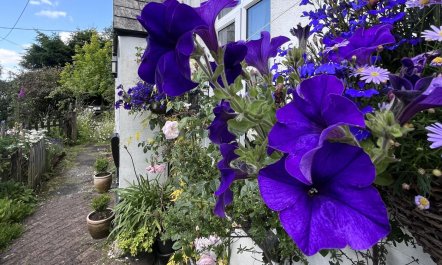 2 Bed in Tavistock 4