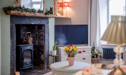 2 Bed in Tavistock 6